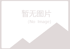 湛江霞山匆匆能源有限公司